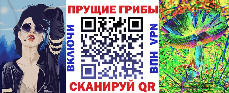 наркотики  Михайловск  Галлюциногенные грибы мицелий 